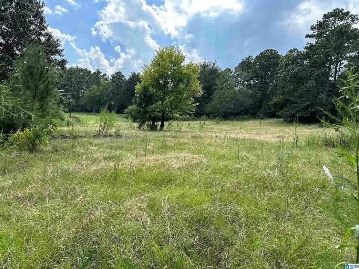 Land Sales and Acquisition Birmingham Alabama